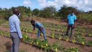 Agricultural Education in Antigua and Barbuda