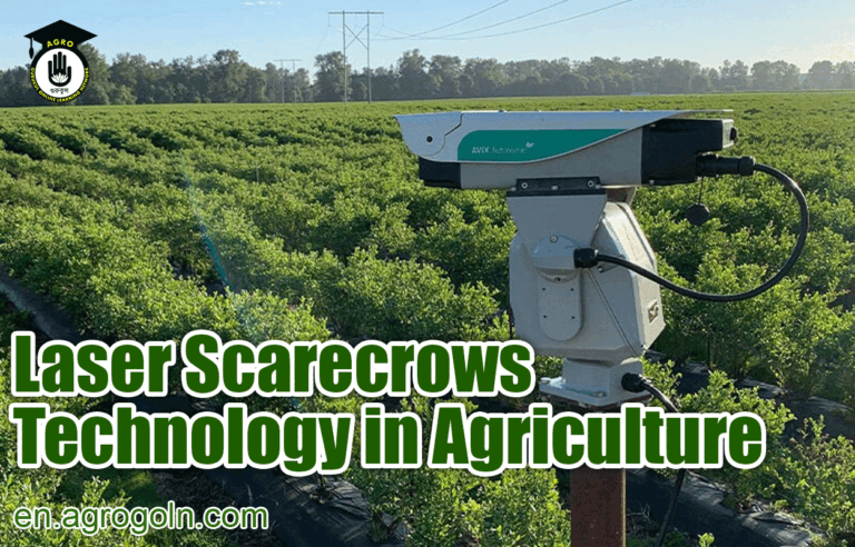 Laser Scarecrows Technology in Agriculture