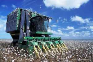 A cotton picker at work- Baumwoll