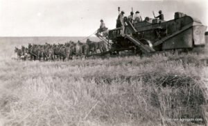 Threshing Machines: Revolutionizing Post-Harvest Agriculture