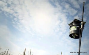 Laser Scarecrows Technology in Agriculture