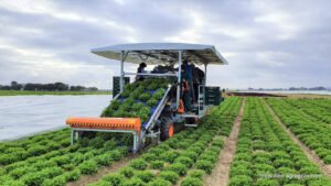 Mechanical Harvesters