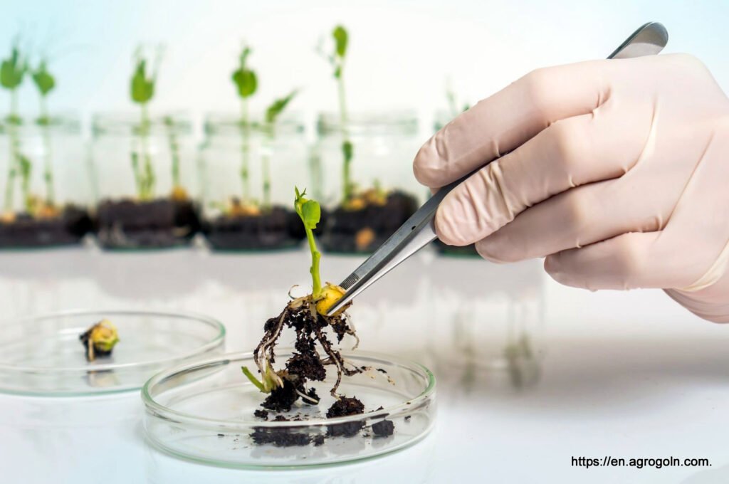 Minichromosome Technology in Agriculture 3
