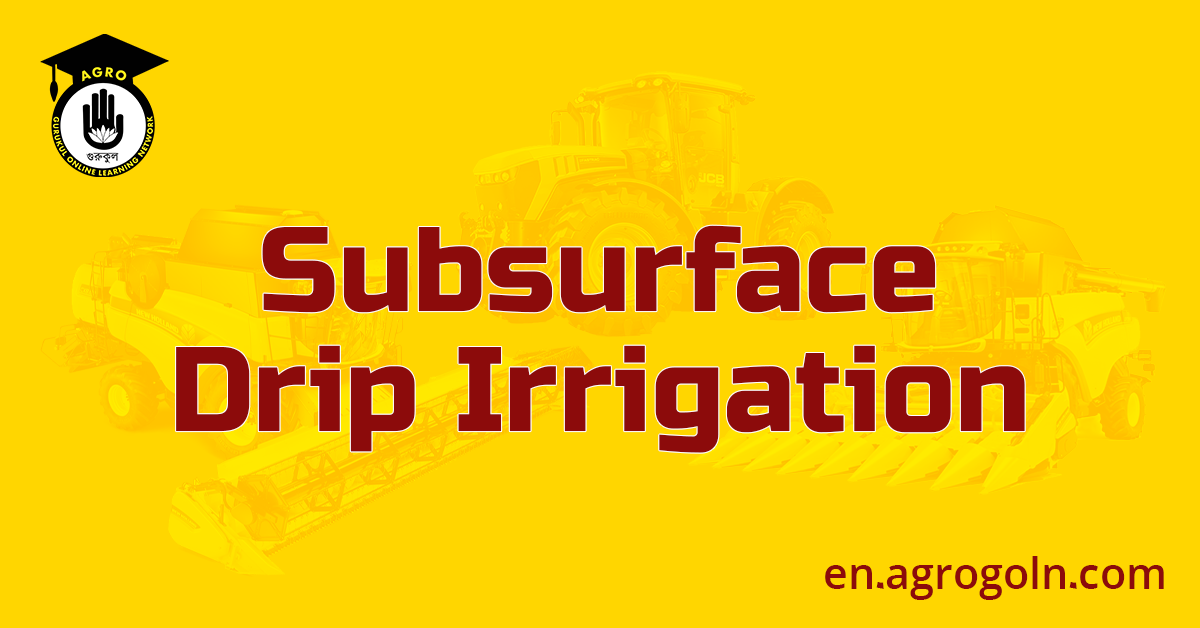 Subsurface Drip Irrigation