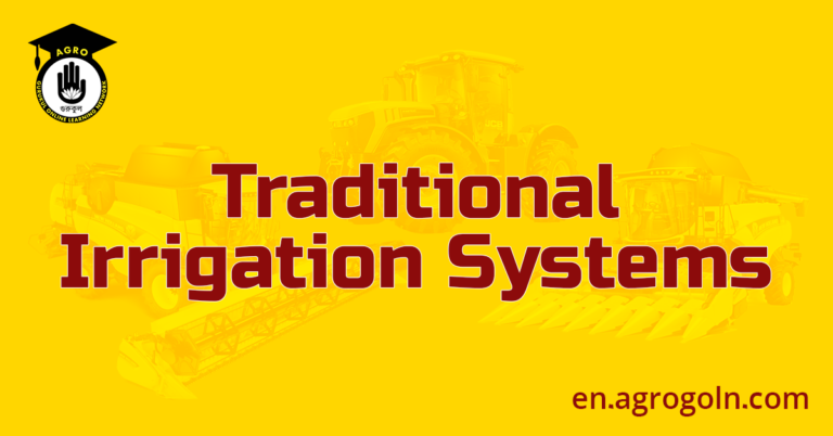 Traditional Irrigation Systems