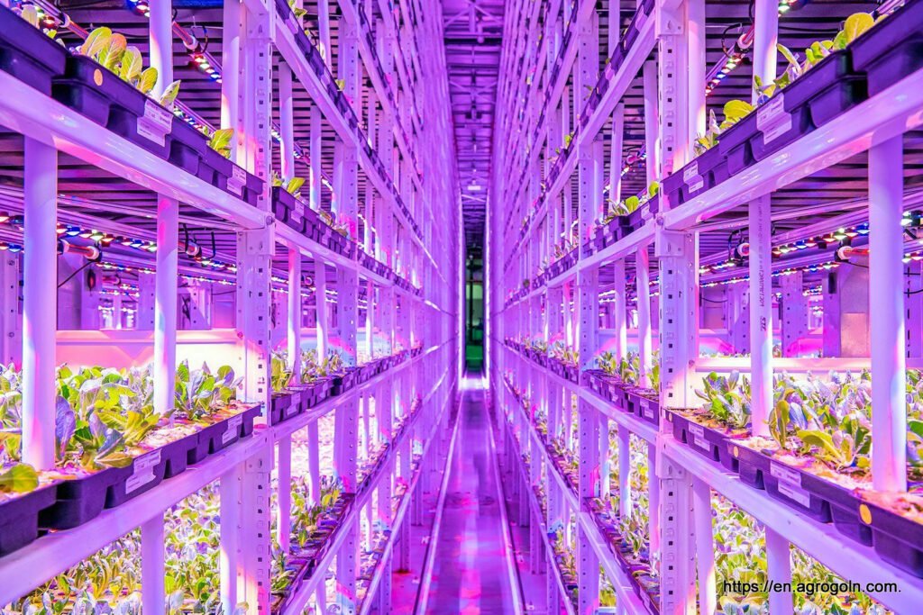 Vertical farm in Moscow 1