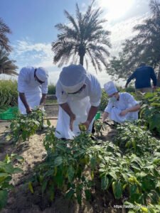 Agricultural in Bahrain