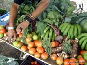Agricultural Education in The Bahamas
