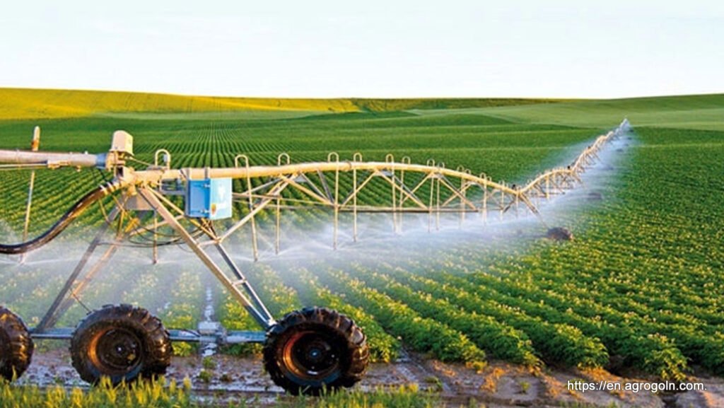 Agriculture Education in Algeria: A Comprehensive Overview