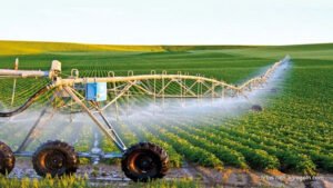 Agriculture in Algeria