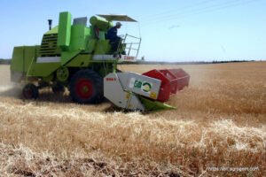 Agriculture in Algeria