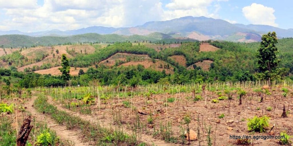 Agriculture Education in Algeria: A Comprehensive Overview