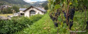 Agriculture in Andorra