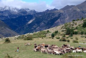 Agriculture in Andorra