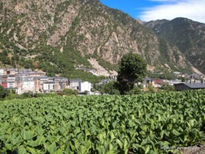 Agriculture in Andorra