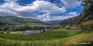 Agriculture in Andorra