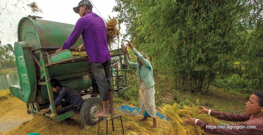 Agriculture in Bangladesh