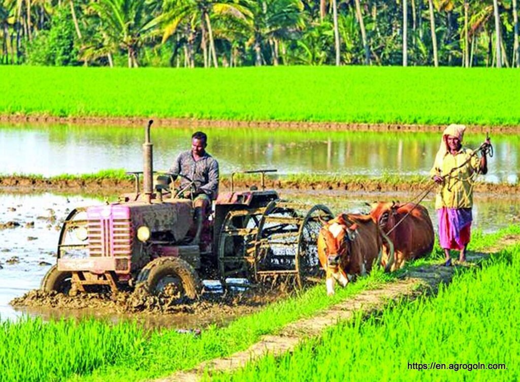 Agricultural Bank Loan Policy of Bangladesh