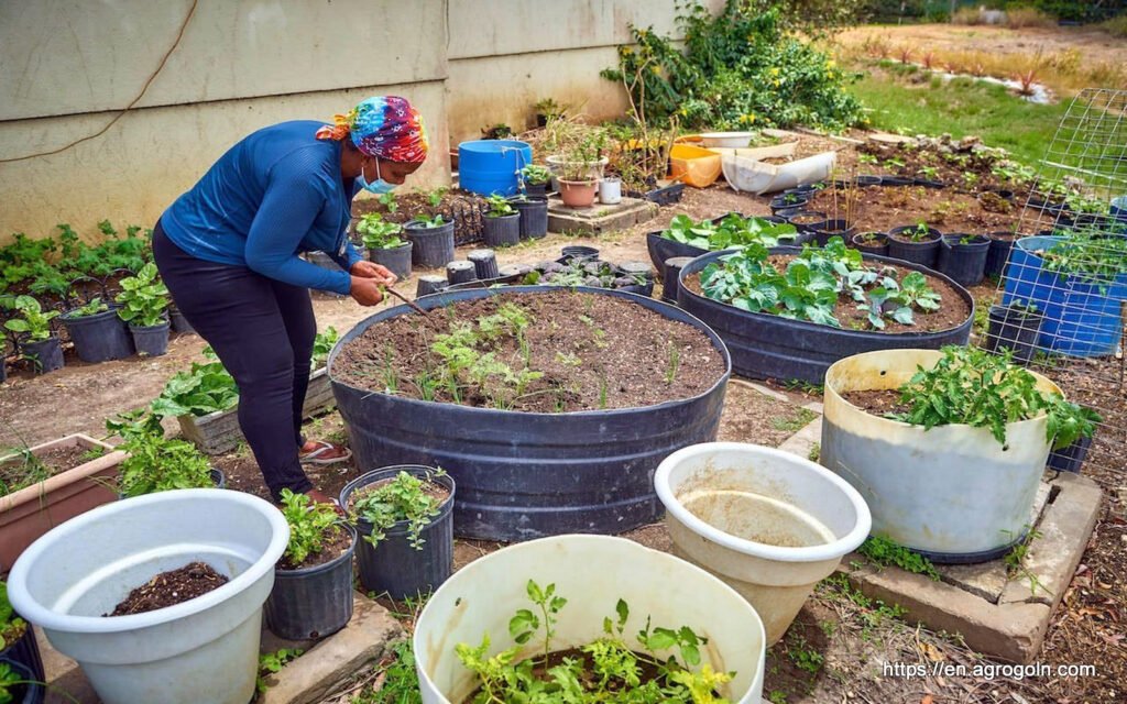 Agricultural Education in Barbados: Nurturing Sustainable Farming and Rural Development