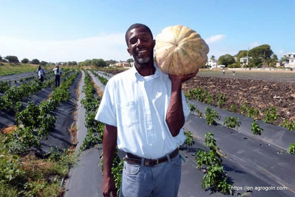 Agriculture of Barbados