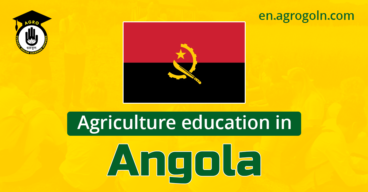 Agricultural Education in Angola: Current Status, Challenges and Prospects for Future Development