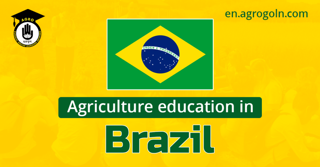 Agricultural Education in Brazil: Cultivating a Sustainable Future