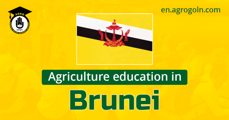 Agricultural Education in Brunei: Nurturing a Sustainable Future