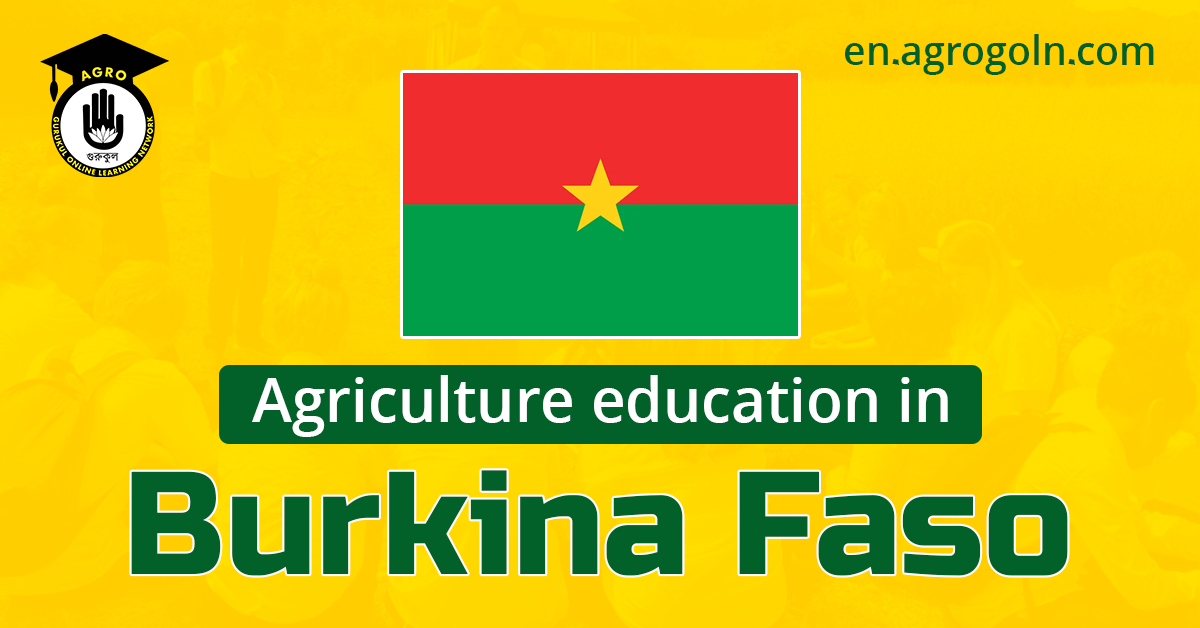 Agricultural Education in Burkina Faso: Cultivating a Sustainable Future