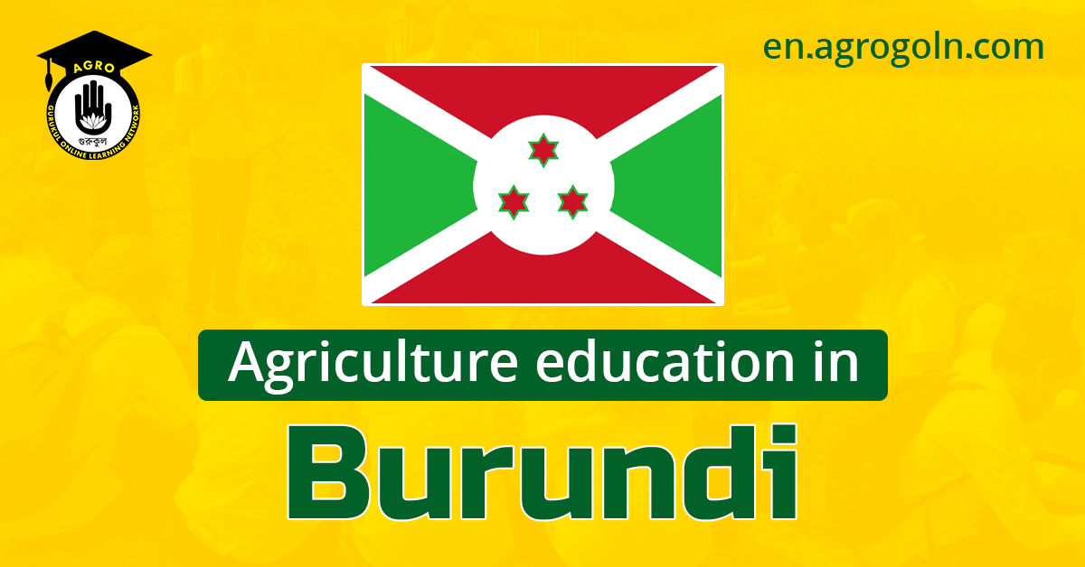 Agricultural Education in Burundi: Cultivating a Sustainable Future
