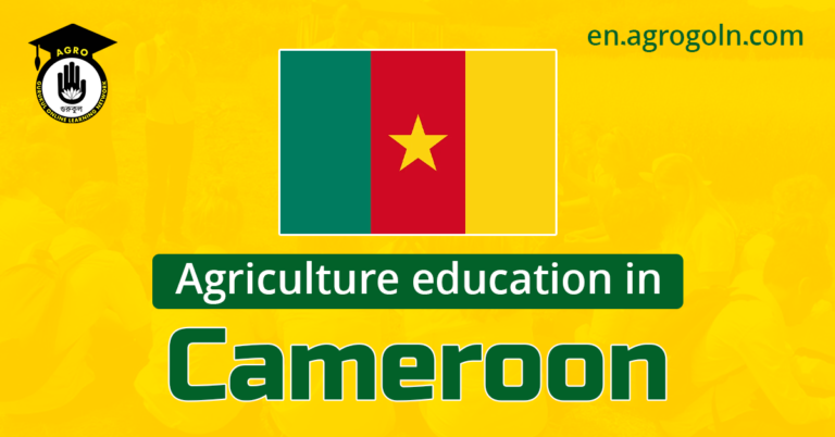 Agriculture Education in Cameroon: A Foundation for Sustainable Development