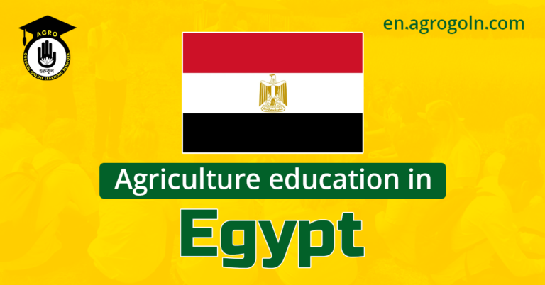 agricultural education in egypt