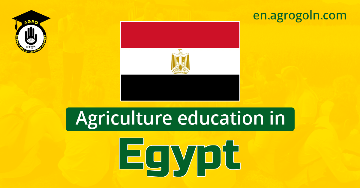 agricultural education in egypt