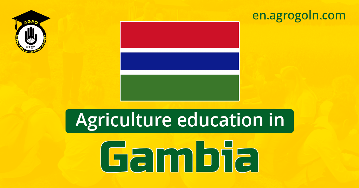 Gambia