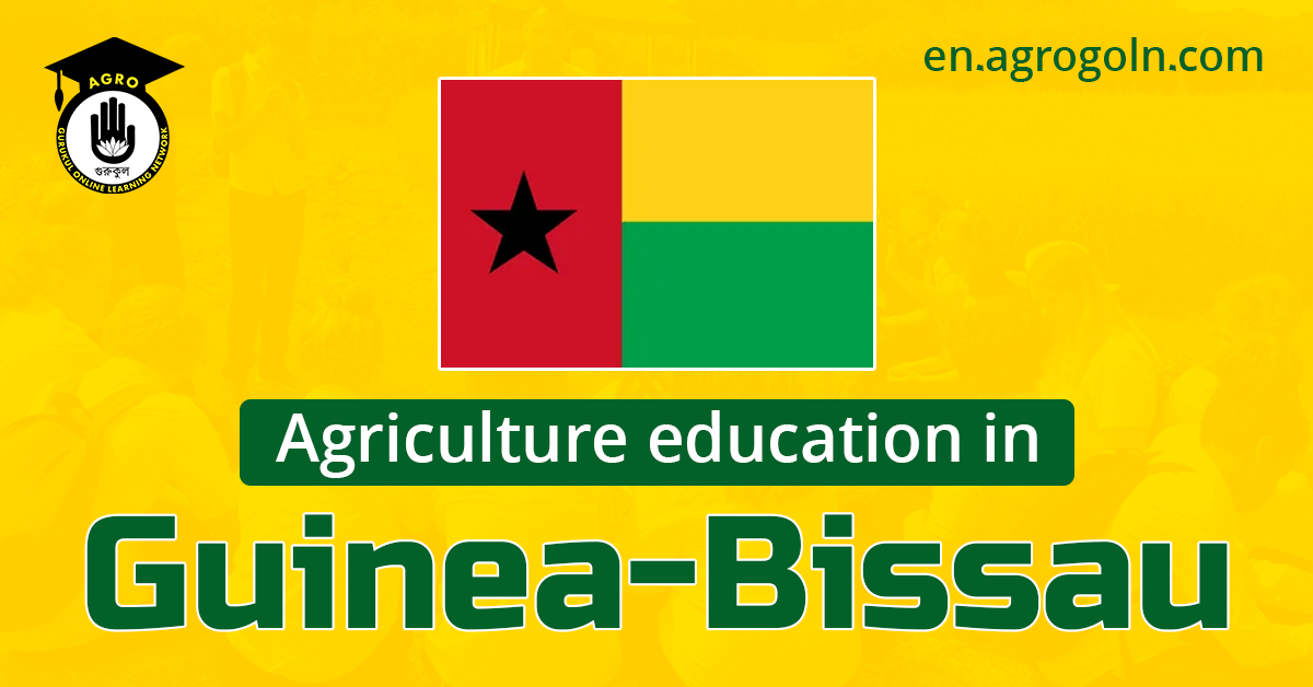 agricultural education in guinea-bissau