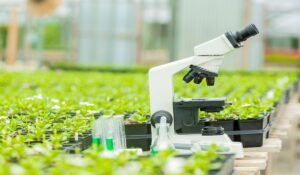 Agricultural Research: Driving Innovation for Sustainable Farming