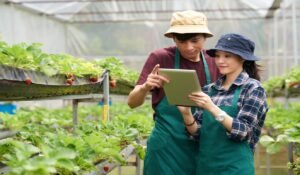 Agricultural Research: Driving Innovation for Sustainable Farming