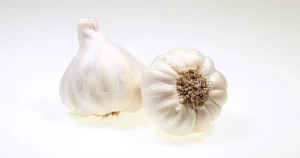 Garlic Cultivation Method: A Comprehensive Guide